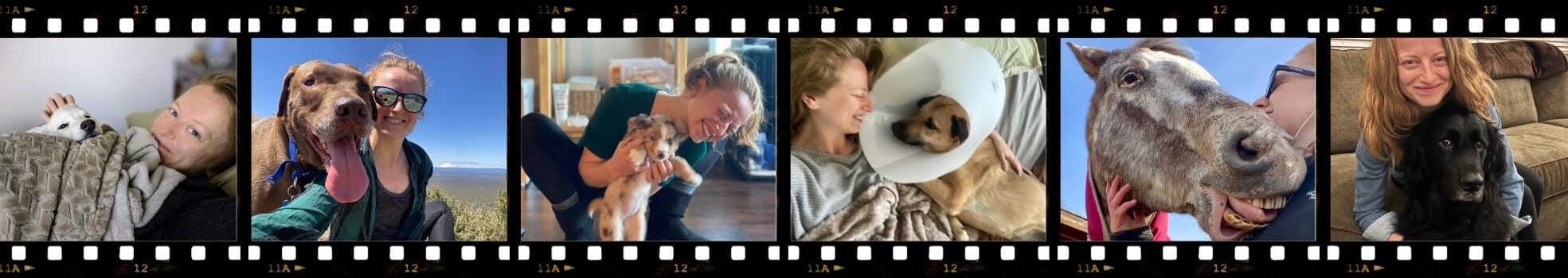 Best dog sitter in penticton bc