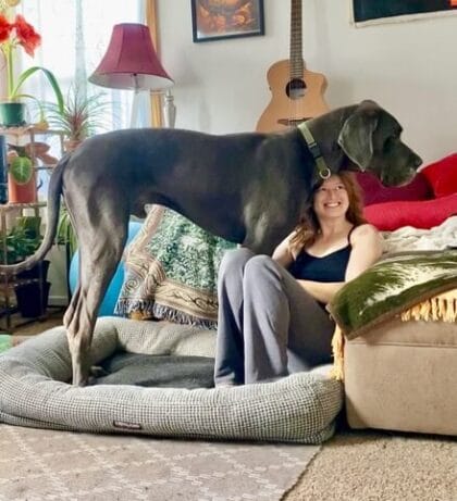 great dane dog sitter penticton