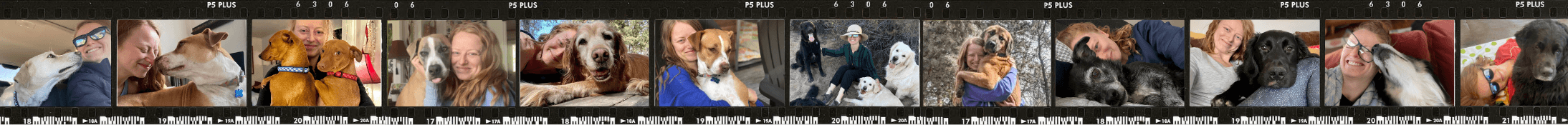 penticton pet sitting photo reel